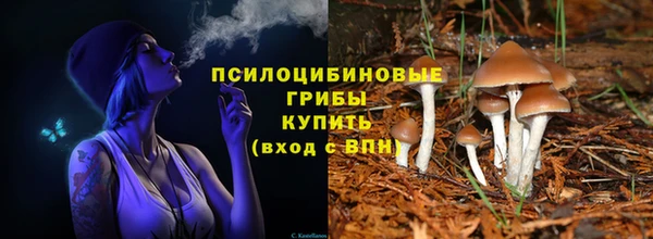 стафф Волосово